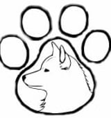 Etableret webshop inden for hundeudstyr og hundefoder – stærk niche og vækstpotentiale