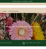 Webshop med evighedsbuketter, inkl. varelager, SoMe-platforme og indkøbskontakter 