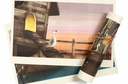 Salg af 5000+ plakater