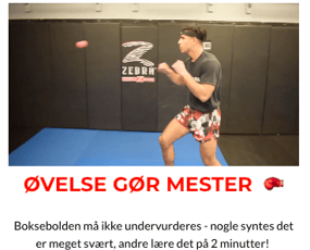 Boksebolden.dk (500.000++ kr. i omsætning)