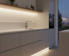 Veletableret dansk e-commerce forretning med stærk position inden for belysning og smart home