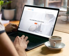 Danmarks største domæne site sælges - Salg af unikke domæner 