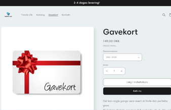 Professionel dropshipping webshop - udviklet af E-com+