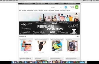 Webshop med stor omsætning