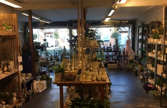 Spændende blomsterbutik under udvikling! Omsætning 1.200.000 kr.
