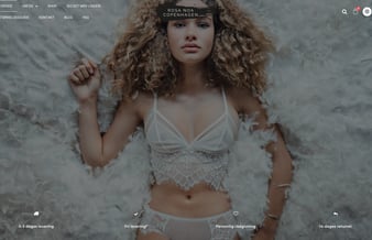Salg af webshop
