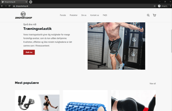 Køreklar dropshipping Webshop med alt klar til dig