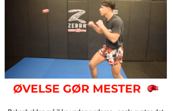 Boksebolden.dk (524.000 kr. i omsætning)