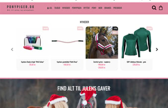 Webshop med rideudstyr til børn, ponyer og hestepiger - Nettoomsætning: 214.000 kr.