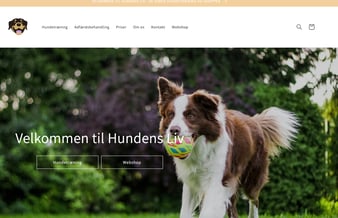 Hundetrænings virksomhed til salg med stort potentiale 
