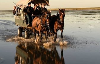 Mandø Event – helt sin egen og i kolossal udvikling Sælges til en ny generation af passionerede outdoor mennesker