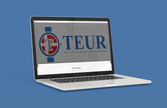 shop.teur.dk - Passiv dropshipping webshop med accessories