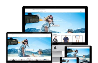 Helt nyt dropshipping koncept klar til lancering