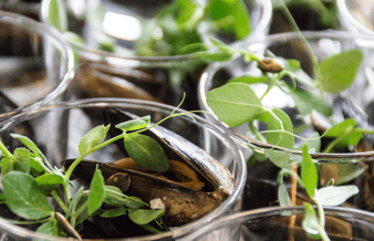 Midt & østjysk cateringvirksomhed 