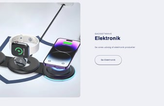 Sælger denne dropshipping webshop med 2-4 dages levering