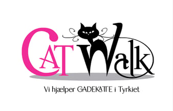Website til salg