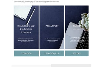 Nystartet webbureau med voksende kundebase 