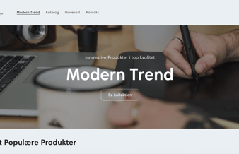 Dropshipping Webshop til salg