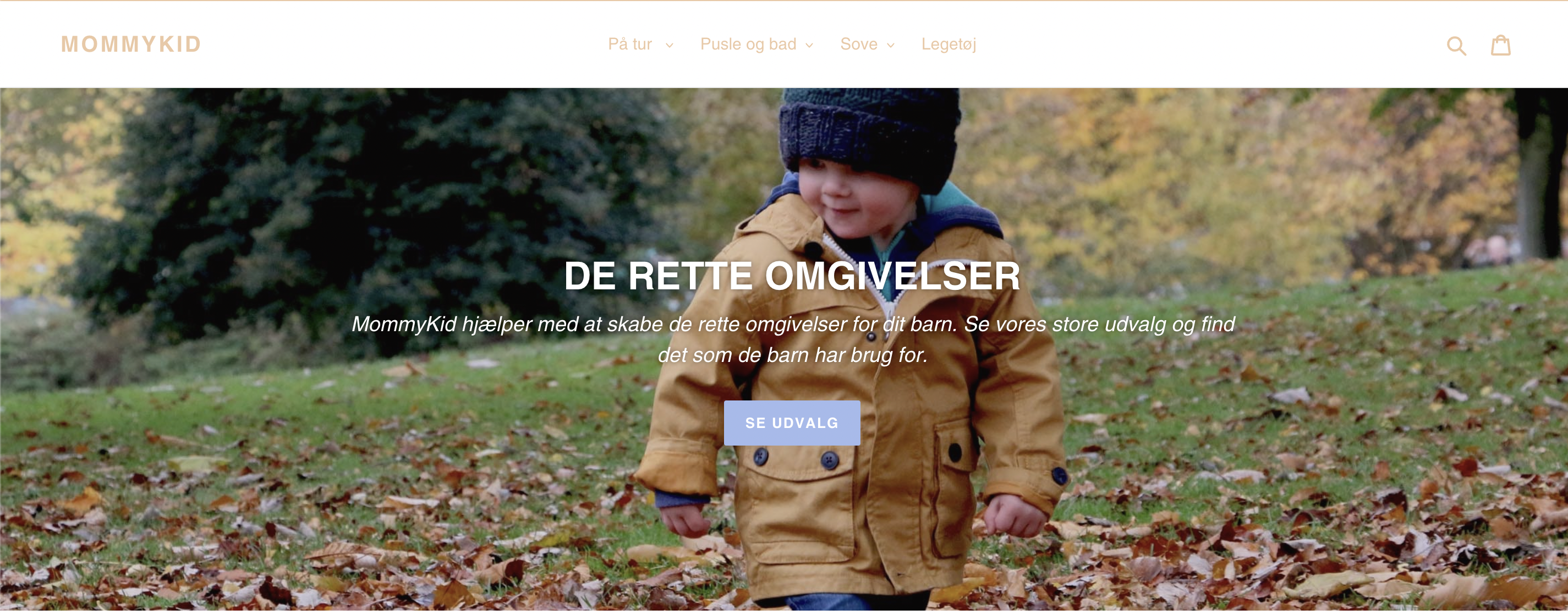 Dropshipping butik med salg af baby-børne udstyr
