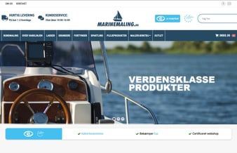 Dropshipping webshop med bådmaling køreklar - Omsætning på +450.000 kr. i 2021