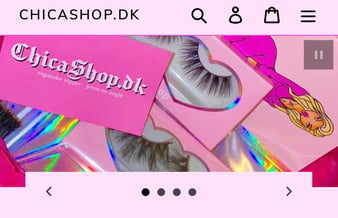 ChicaShop.dk - succesfuld vippe/skønheds webshop - Omsætningen for 2021: 333.485 kr. 