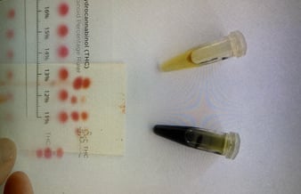 Medicinsk Cannabis