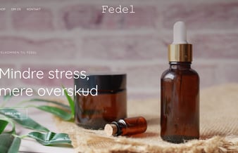 Dropshipping virksomhed med website og super produkt