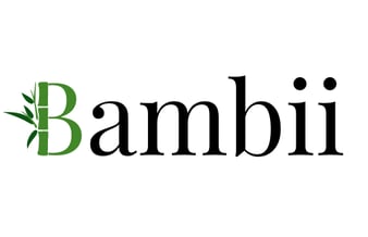 Bambii.dk søger kapital til udvidelse af varerlager og øget budget til markerting 