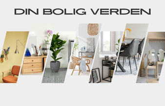 Veletableret dropshipping webshop!!