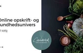 Velbesøgt sundheds- og opskrift hjemmeside - 40.000-120.000 unikke (organiske) besøgende per måned afhængig af sæson 
