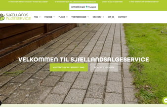 Fliserens, tagrens, facaderens tagmaling, algebehandling - Omsætning på 100.000 kr. i første halvår af 2023