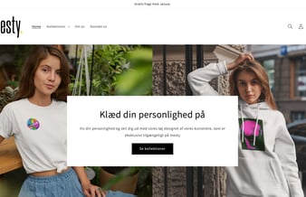 Salg af webshop Mesty.dk - Omsat for små 8000 kr.
