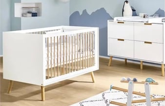 Dropshipping butik med salg af baby-børne udstyr