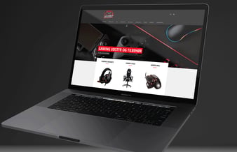 GamerGaragen.dk - Optimeret dropshipping gaming webshop med stort potentiale!