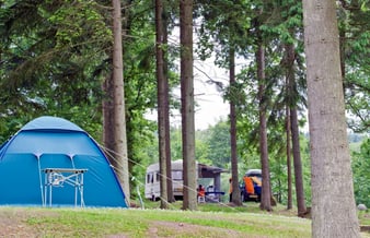 Forpagtning af moderne campingplads i midtjylland med stabil omsætning og indtjening