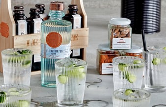 Danmarks førende specialiserede gin og tonic webshop til salg - Omsætning 2020: 1.636.490 DKK