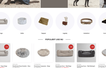 Webshop med hundeudstyr