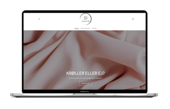 Steamly.dk | Webshop med salg af Steamers med dropshipping leverandør i EU | 100% køreklar