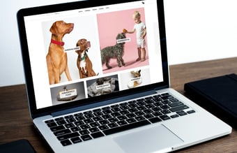 luksushund.dk - Lækre produkter til hunden, omsætning 900.000 siden åbning i januar.