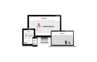 Webshop med salg af over 2200 forskellige erotiske artikler - omsætning på ca. 84.000 kr. i 2019