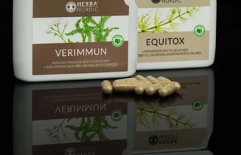 Medejere med it og digitale kompetencer/kapital til drift af webshop kosttilskud - Nordisk koncept