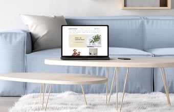 Webshop Gaverogbolig.dk til salg - Omsætning i alt: 3,5 mio DKK - Brugskunst og interiør 