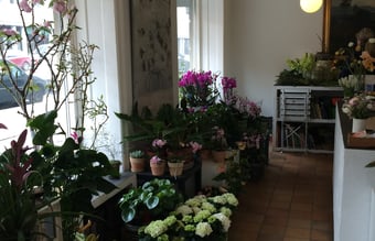 Attraktiv beliggende hjørnebutik i indre København