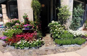 Unik hjørnebutik med 4 vinduer København K. til afståelse med lav husleje. 144 kvm.