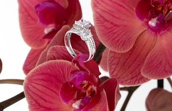 smykkehjoernet.dk - Eksklusiv smykke webshop med unikke og sofistikerede produkter