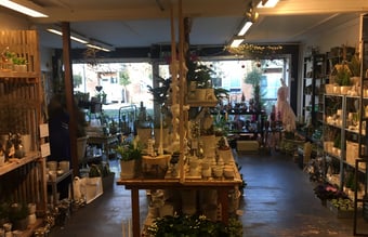 Spændende blomsterbutik under udvikling! Omsætning 1.200.000 kr.