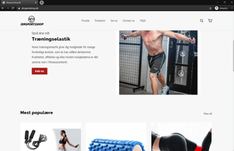 Køreklar dropshipping Webshop med alt klar til dig