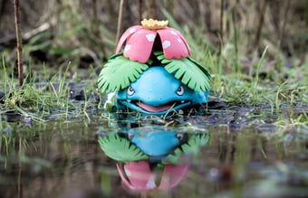 Organisk Instagram Portefølje (100k+) opslag får typisk 1000 - 2000 likes på de første 72 timer