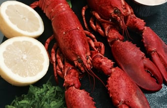 Danmarks billigste madklub & catering med 300 betalende medlemmer - ved handel før 1.4.2021 kan prisen handles