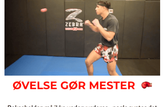 Boksebolden.dk (524.000 kr. i omsætning)